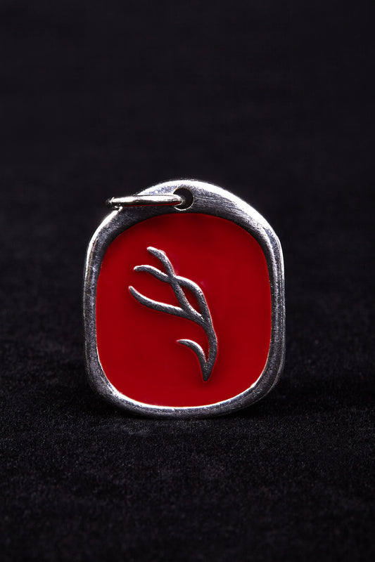 Quail Head (Chún Shǒu)6.6-7.6