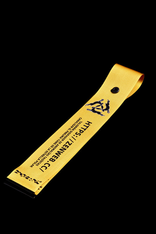 Daoist Anomaly-Warding Sigil